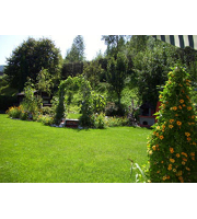 Produktbild von Schnittblumen, Balkon und Gartentopfpflanzen