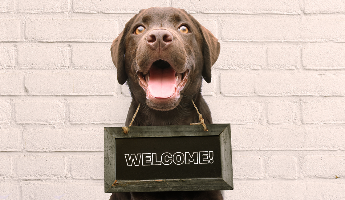 Hund mit "Willkommen"-Schild um den Hals