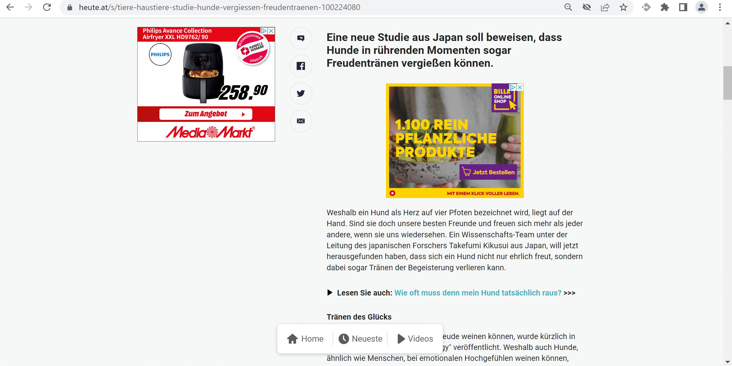 Screenshot einer Bannerwerbung auf einer Website