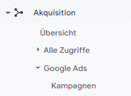 Google Ads verknüpfte Analytics Daten